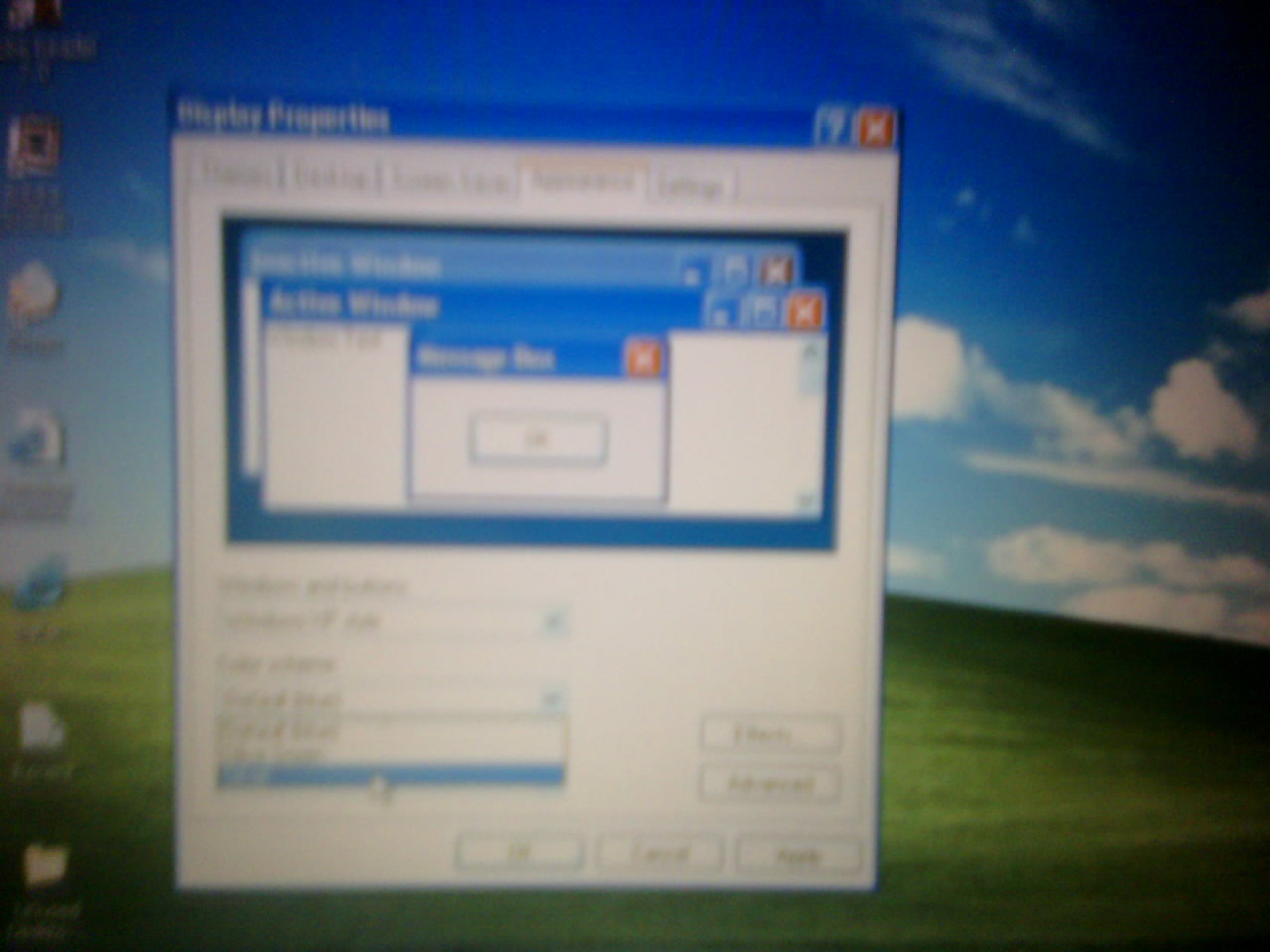 downloading windows xp for mac